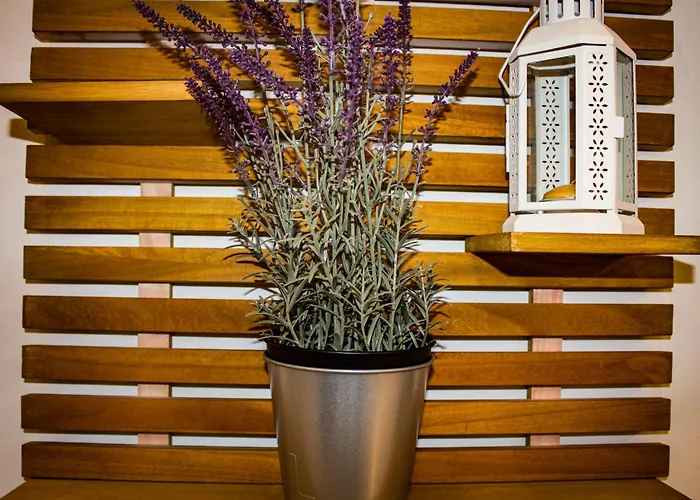 Naranja 公寓 龙达